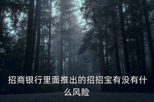  招商銀行里面推出的招招寶有沒有什么風險