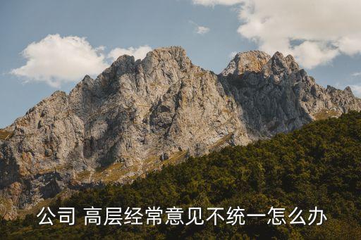  公司 高層經(jīng)常意見(jiàn)不統(tǒng)一怎么辦