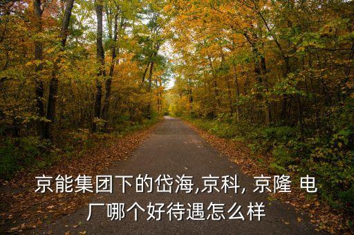 京能集團(tuán)下的岱海,京科, 京隆 電廠哪個好待遇怎么樣