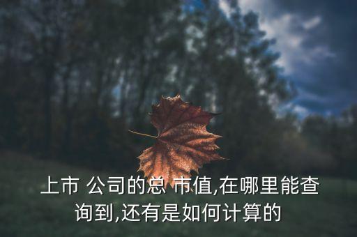  上市 公司的總 市值,在哪里能查詢到,還有是如何計(jì)算的