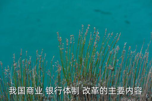 我國商業(yè) 銀行體制 改革的主要內(nèi)容