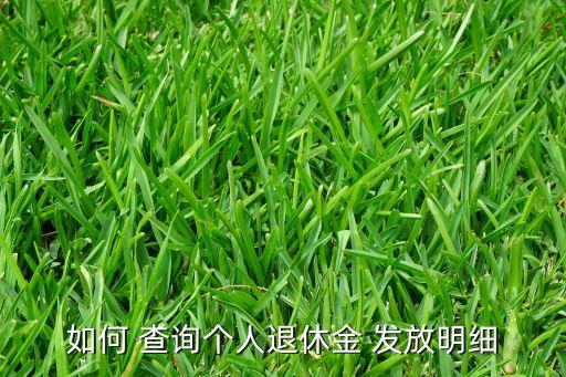 如何 查詢個人退休金 發(fā)放明細(xì)
