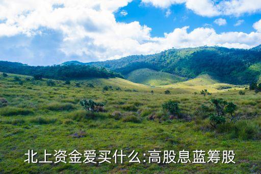 北上資金愛(ài)買(mǎi)什么:高股息藍(lán)籌股