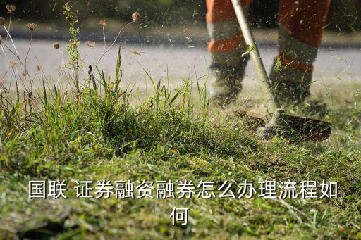  國(guó)聯(lián) 證券融資融券怎么辦理流程如何