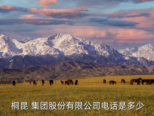  桐昆 集團股份有限公司電話是多少