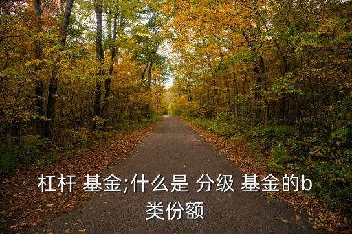杠桿 基金;什么是 分級 基金的b類份額