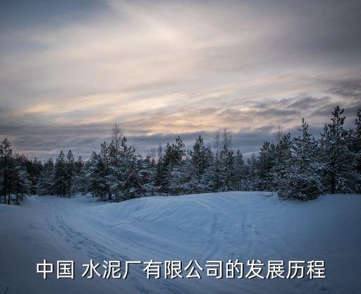 中國 水泥廠有限公司的發(fā)展歷程