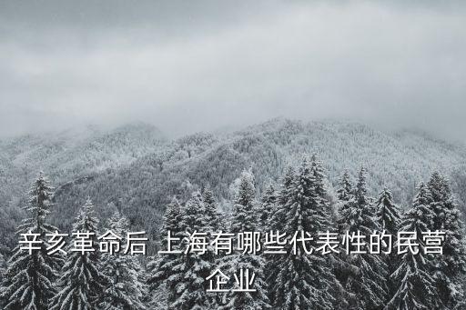辛亥革命后 上海有哪些代表性的民營企業(yè)