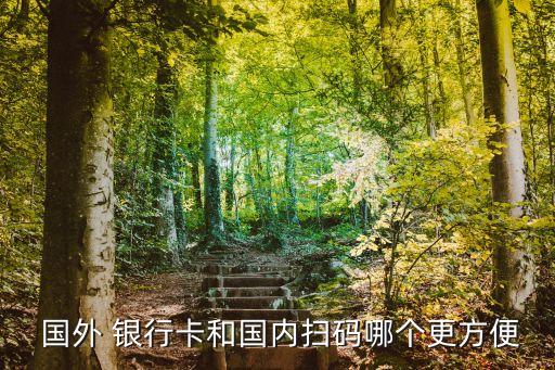  國外 銀行卡和國內(nèi)掃碼哪個(gè)更方便