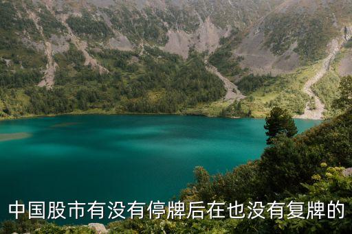 中國股市有沒有停牌后在也沒有復(fù)牌的