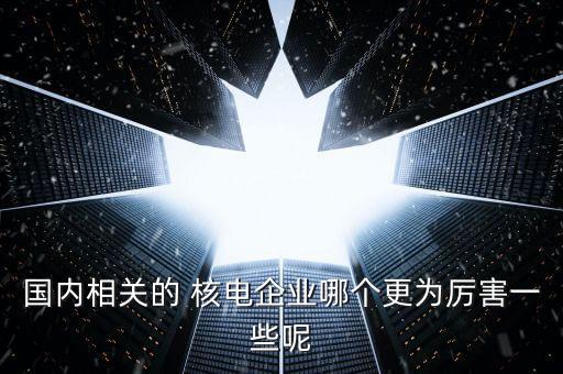 國內(nèi)相關(guān)的 核電企業(yè)哪個(gè)更為厲害一些呢