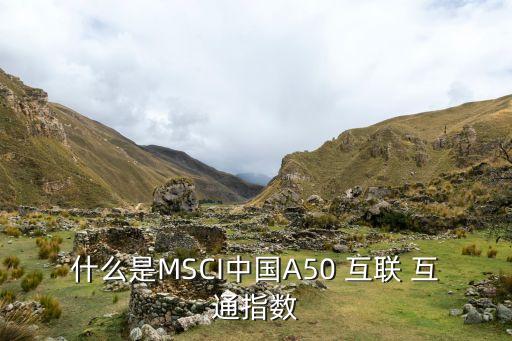 什么是MSCI中國(guó)A50 互聯(lián) 互通指數(shù)