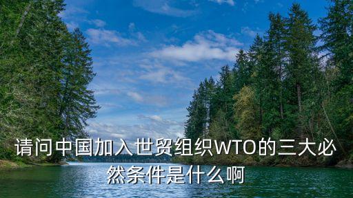中國(guó)wto采購(gòu)