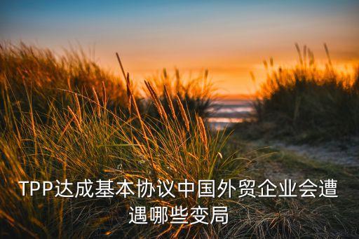 TPP達成基本協(xié)議中國外貿(mào)企業(yè)會遭遇哪些變局