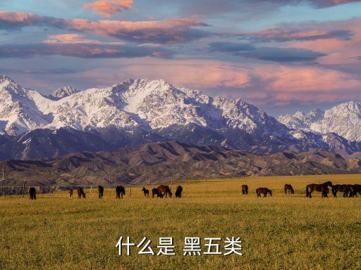 黑五類(lèi)股票有哪些,股票黑五類(lèi)為何不能碰