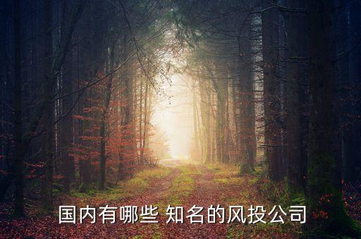  國內有哪些 知名的風投公司