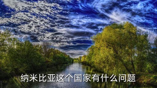 2007外國直接投資,外國直接投資對(duì)東道國的影響