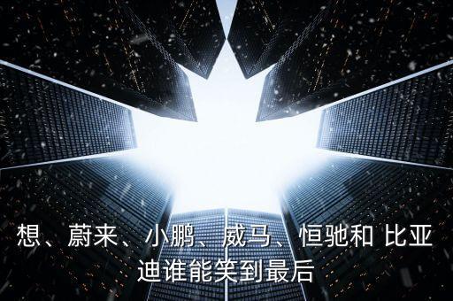 想、蔚來、小鵬、威馬、恒馳和 比亞迪誰能笑到最后