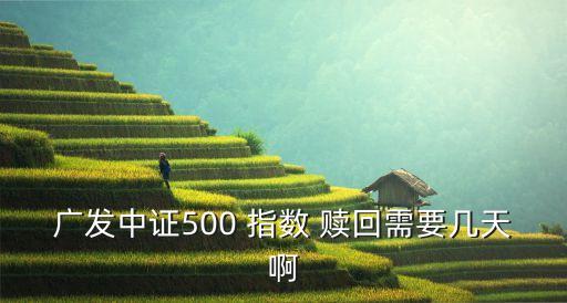 廣發(fā)中證500 指數 贖回需要幾天啊