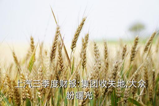  上汽三季度財報:集團收失地,大眾盼曙光