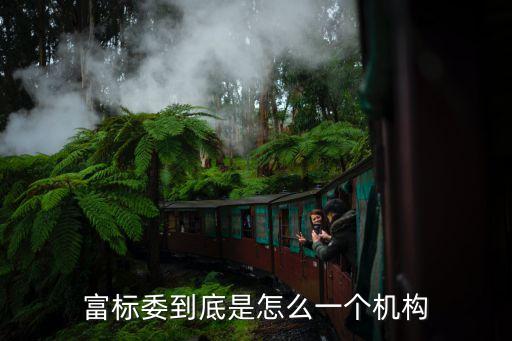 富標委到底是怎么一個機構