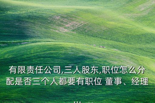 有限責任公司,三人股東,職位怎么分配是否三個人都要有職位 董事、經理...