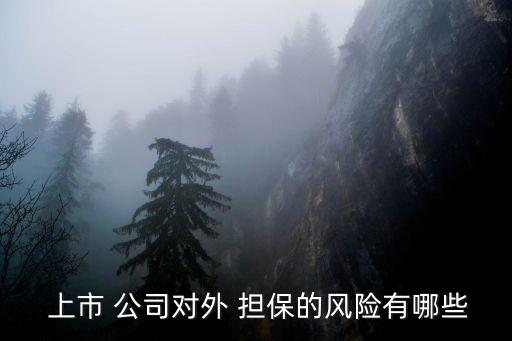  上市 公司對(duì)外 擔(dān)保的風(fēng)險(xiǎn)有哪些