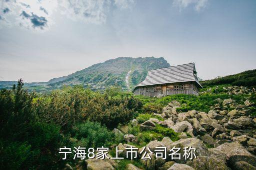 寧海8家上市公司名稱(chēng)