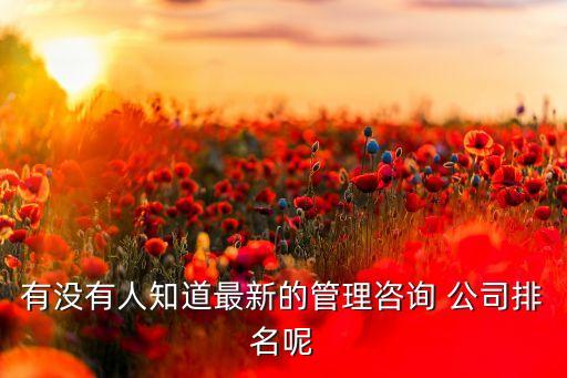 有沒(méi)有人知道最新的管理咨詢(xún) 公司排名呢