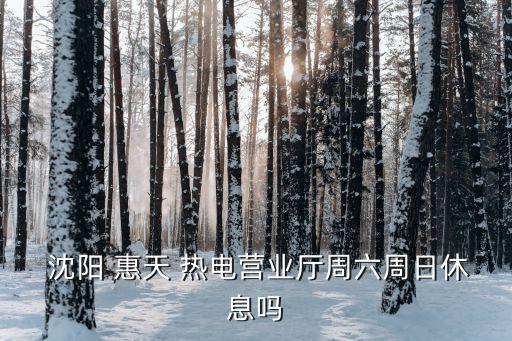  沈陽(yáng) 惠天 熱電營(yíng)業(yè)廳周六周日休息嗎