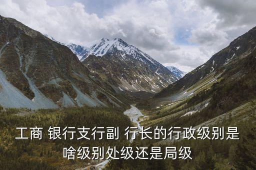 工商 銀行支行副 行長的行政級別是啥級別處級還是局級