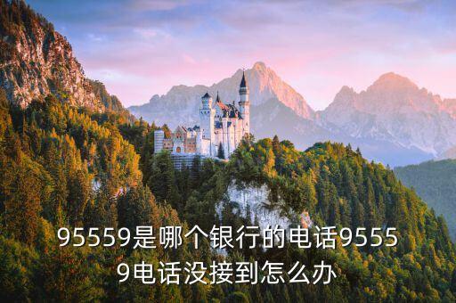 95559是哪個銀行的電話95559電話沒接到怎么辦