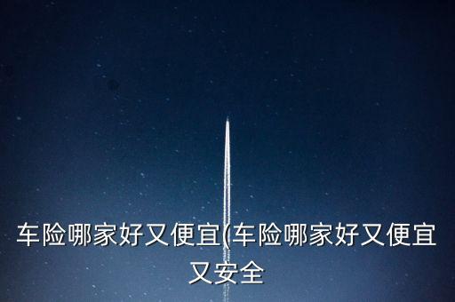 美國旅行者保險公司,美國最大的保險公司