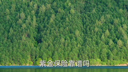 紫金財產保險股份有限公司遼寧