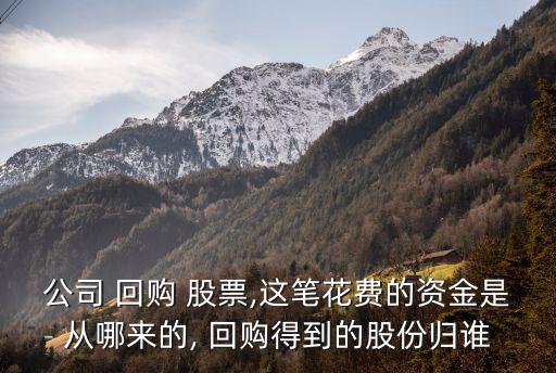 公司 回購(gòu) 股票,這筆花費(fèi)的資金是從哪來的, 回購(gòu)得到的股份歸誰