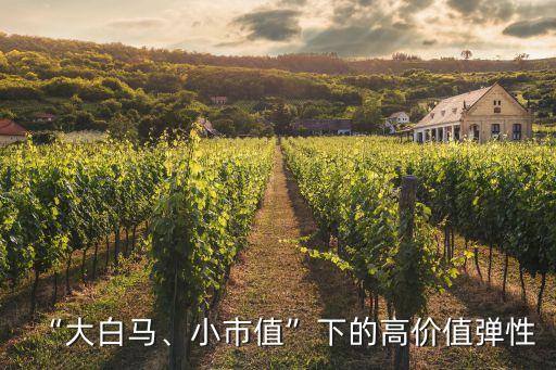 “大白馬、小市值”下的高價值彈性