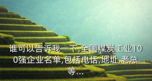誰可以告訴我一下,全國煤炭工業(yè)100強企業(yè)名單,包括電話,地址,老總等...