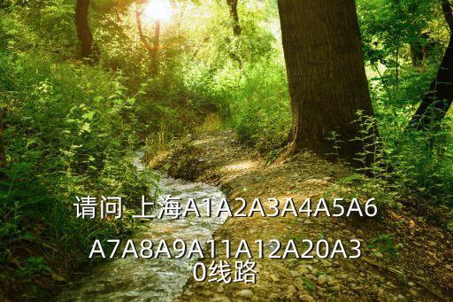 請(qǐng)問 上海A1A2A3A4A5A6A7A8A9A11A12A20A30線路