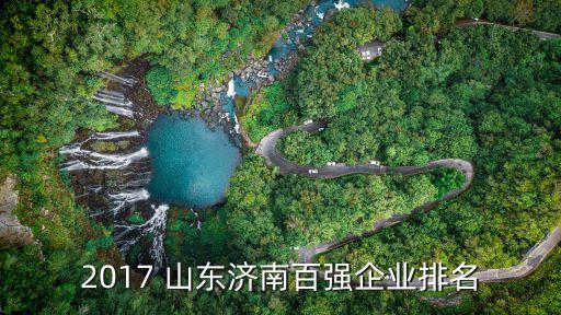 2017 山東濟(jì)南百?gòu)?qiáng)企業(yè)排名
