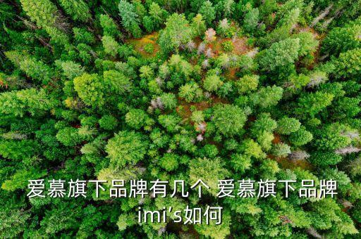  愛慕旗下品牌有幾個(gè) 愛慕旗下品牌imi’s如何