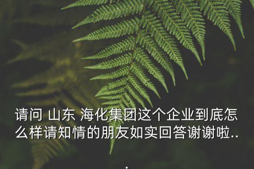 請問 山東 海化集團這個企業(yè)到底怎么樣請知情的朋友如實回答謝謝啦...