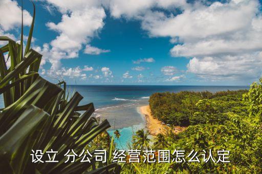 設立 分公司 經(jīng)營范圍怎么認定