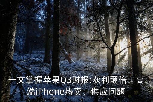 一文掌握蘋(píng)果Q3財(cái)報(bào):獲利翻倍、高端iPhone熱賣(mài)、供應(yīng)問(wèn)題