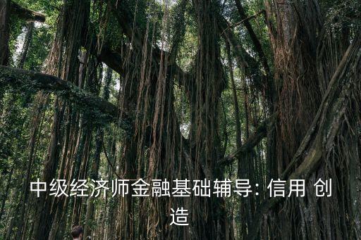 中級經(jīng)濟(jì)師金融基礎(chǔ)輔導(dǎo): 信用 創(chuàng)造