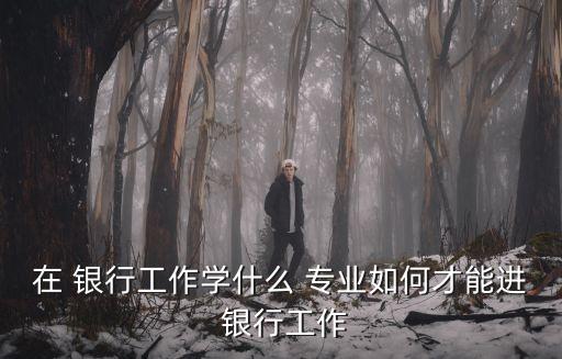 在 銀行工作學什么 專業(yè)如何才能進 銀行工作