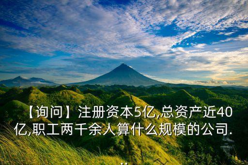 【詢問】注冊(cè)資本5億,總資產(chǎn)近40億,職工兩千余人算什么規(guī)模的公司...