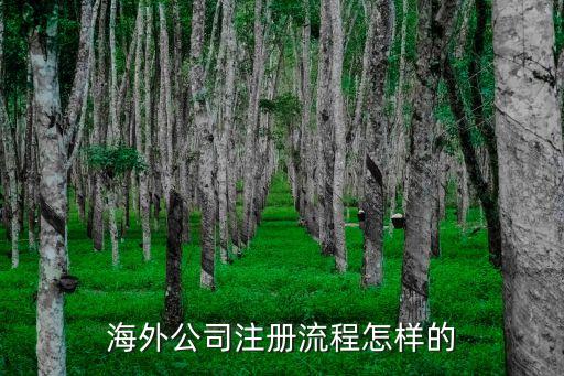 美國公司續(xù)牌,美國生牌公司 簡(jiǎn)介