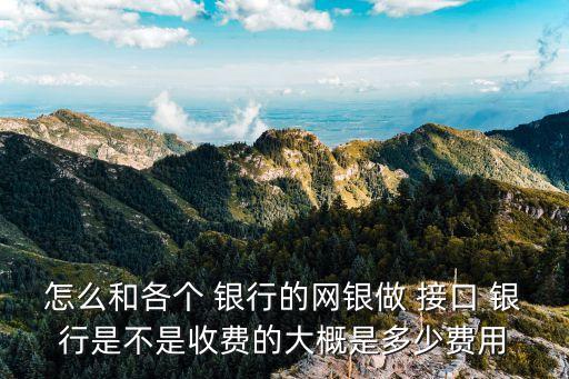怎么和各個 銀行的網銀做 接口 銀行是不是收費的大概是多少費用