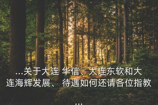 ...關(guān)于大連 華信、大連東軟和大連海輝發(fā)展、 待遇如何還請各位指教...