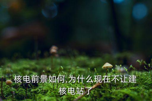 中國核電發(fā)展介紹,中國應不應該發(fā)展核電